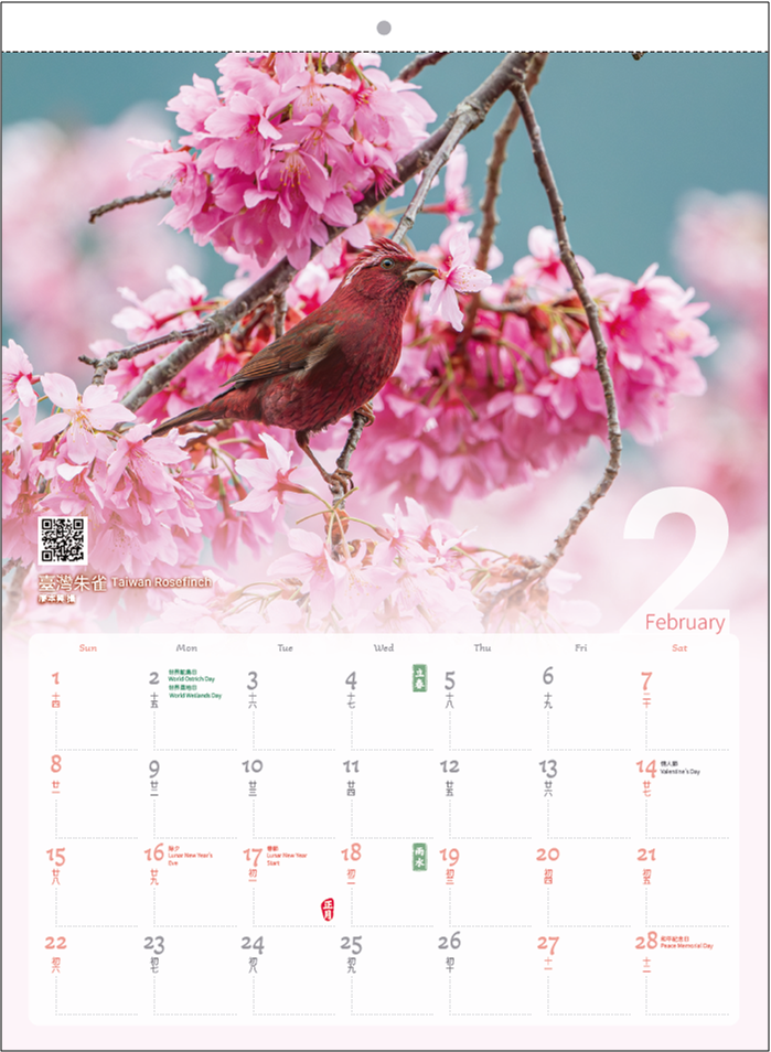 2026-2月